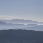 IMG_5476